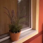 Boglarka Apartmanhaz Apartament Mezőkövesd