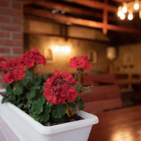Boglárka Apartman