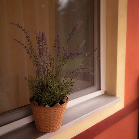 Boglarka Apartmanhaz Apartment Mezokovesd